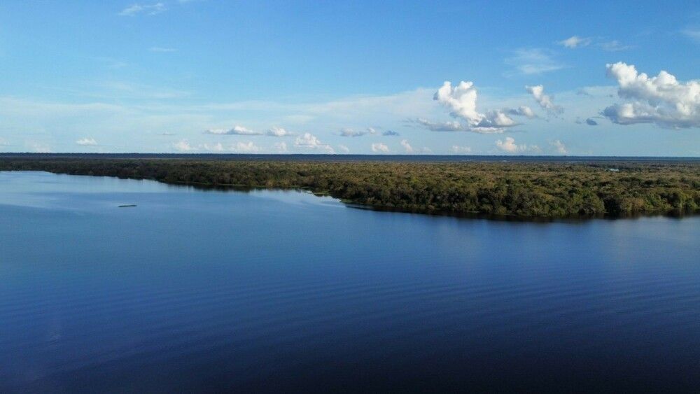 Celebração: Dia da Amazônia é comemorado com sessão de cinema grátis em Porto Velho