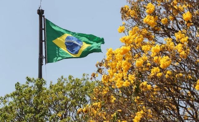 Independência do Brasil: uma data para reflexões sobre a evolução do país
