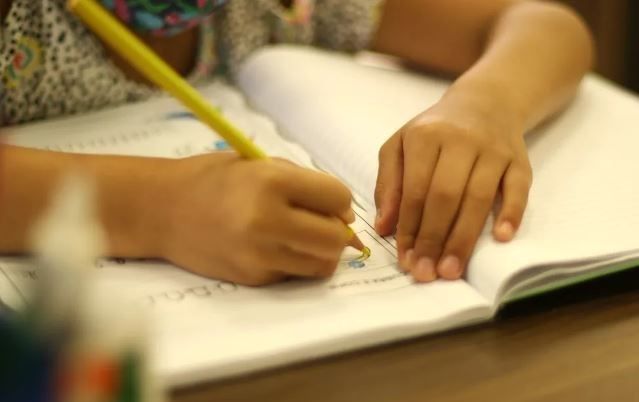 A importância de auditorias pedagógicas para aprimorar os processos de ensino e aprendizagem no Brasil