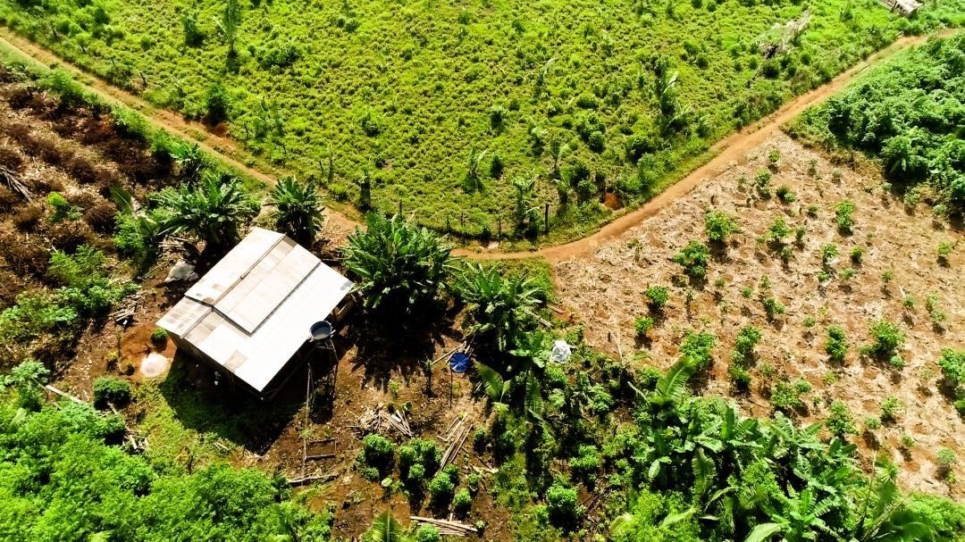 Centro de Bioeconomia da Amazônia é instalado em Rondônia