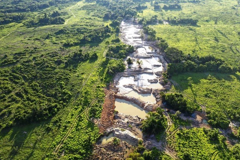 Governo do Pará decreta emergência ambiental em 15 municípios