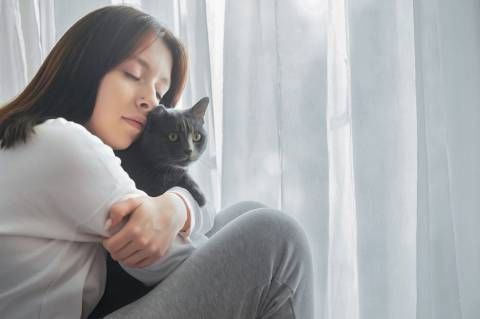 Gatos x Saúde mental: saiba os benefícios de ter um felino