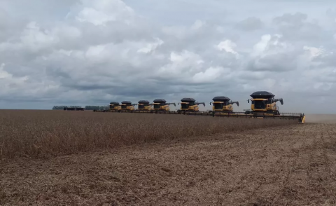 Produção de soja no Acre deve passar 30 mil toneladas e área de plantio pode aumentar mais de 70%, aponta levantamento