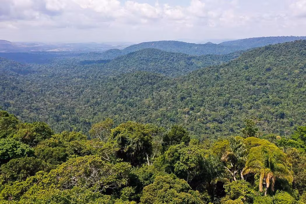 Incra solicita anulação de compra de fazenda 'do tamanho da cidade de São Paulo' em interior do Amazonas
