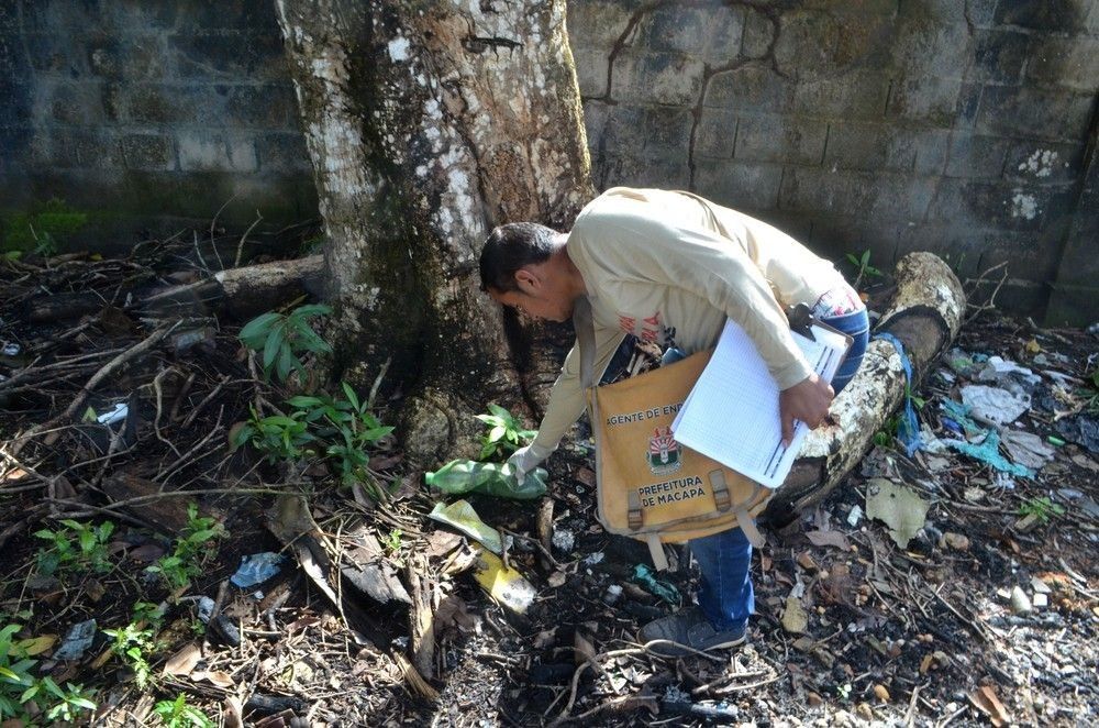 Primeiro LIRAa de 2021 mostra Macapá com risco médio de infestação do Aedes aegypti