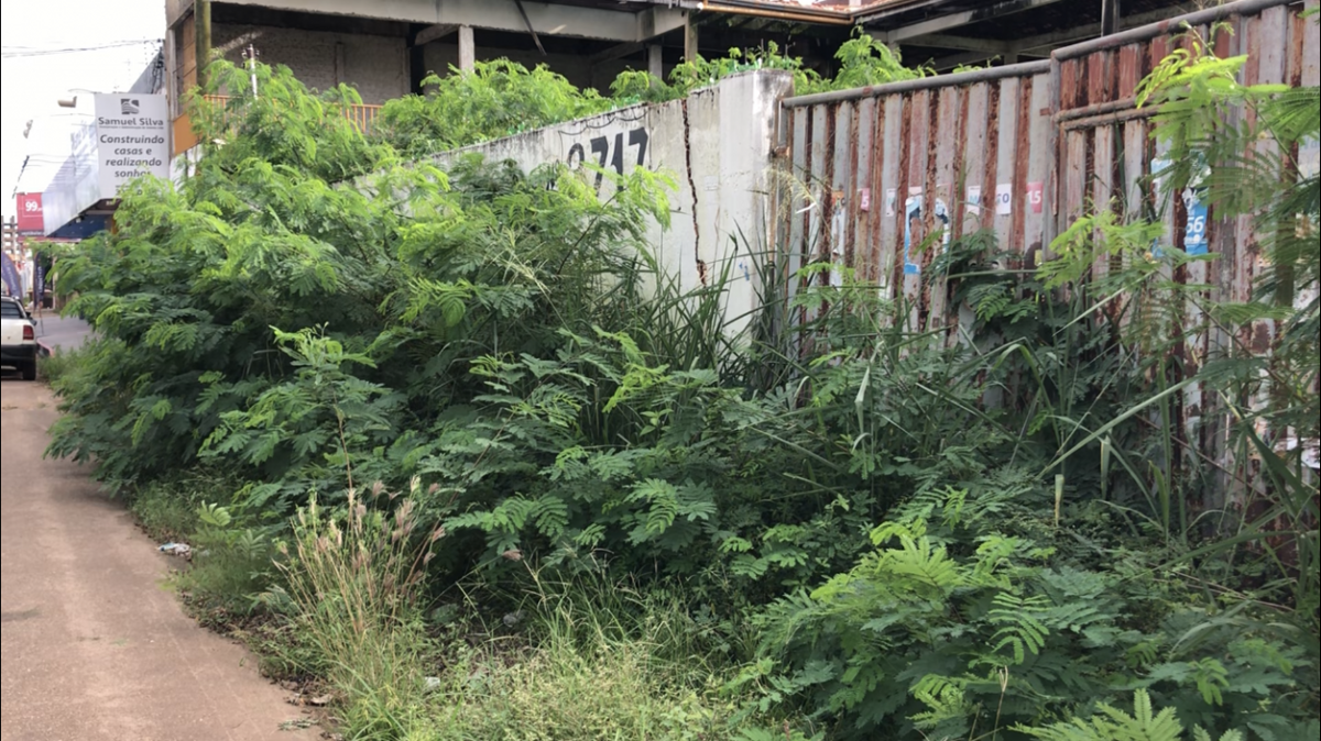 Terrenos Baldios: abandono e desleixo ameaçam saúde pública em Porto Velho