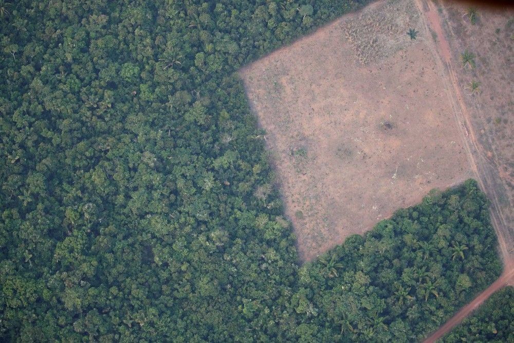 Com perda de quase 30% da Floresta em Rondônia, vendas ilegais de terras ameaçam comunidades indígenas