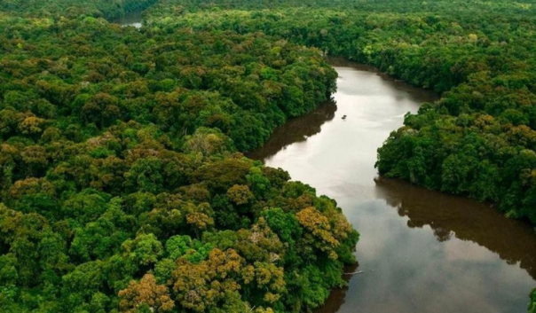 Pesquisadores detectam fortes contribuições da Amazônia para as mudanças climáticas regionais e globais