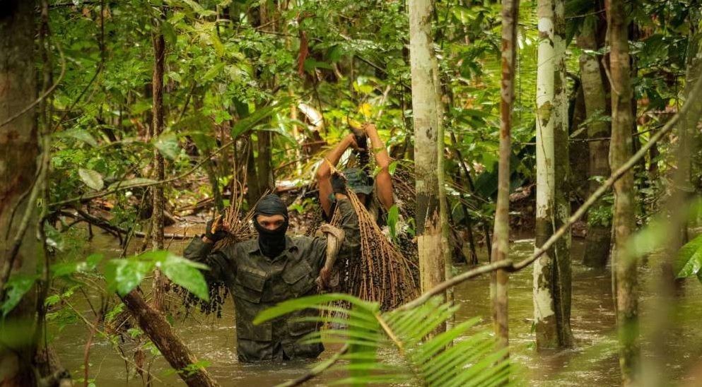 Projeto cultural rondoniense realiza mostra sobre o universo do açaí