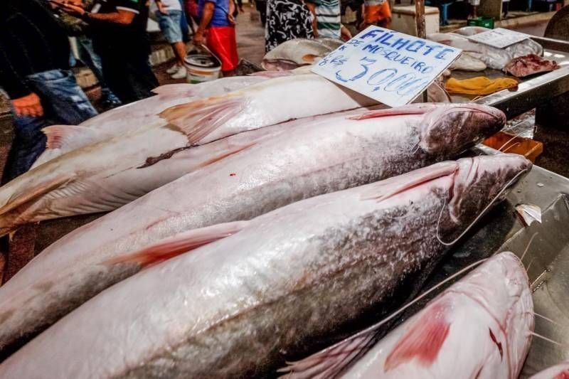 Prefeitura de Belém e Governo do Pará realizam ações emergenciais para conter elevação do preço dos pescados