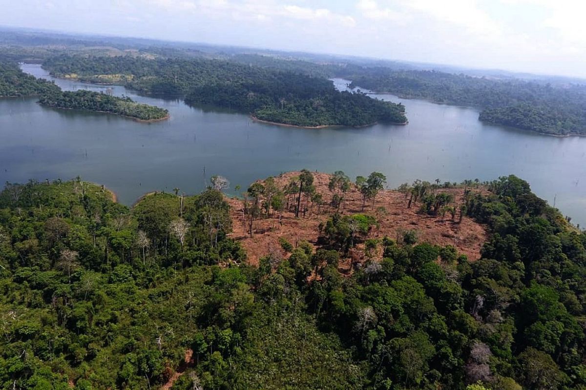 Projeto de Lei de deputado no PA pretende eliminar artigo que proíbe extração e lavra de minérios em Área de Proteção Ambiental