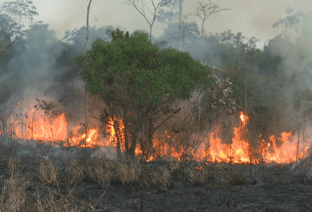 Corpo de Bombeiros apresenta plano de combate contra queimadas no Acre