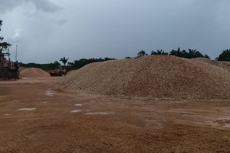 Audiência virtual é realizada para discutir cobrança de taxa para exploração minerária no Pará