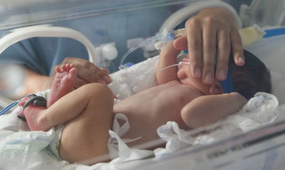 Mais de 350 mil bebês nascem de forma prematura no Brasil por ano, aponta Sociedade Brasileira de Pediatria
