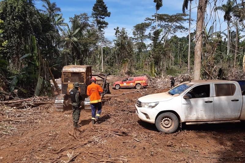 Operação Amazônia Viva combate desmatamento no sudoeste do Pará