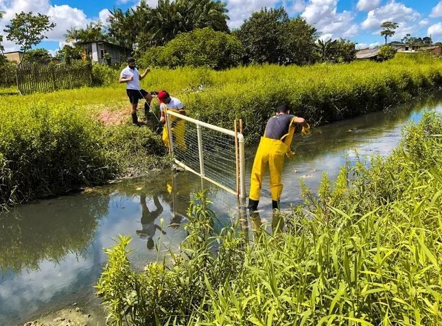 Projeto 'Anamã', do Time Enactus da UFPA, conquista vaga em competição internacional