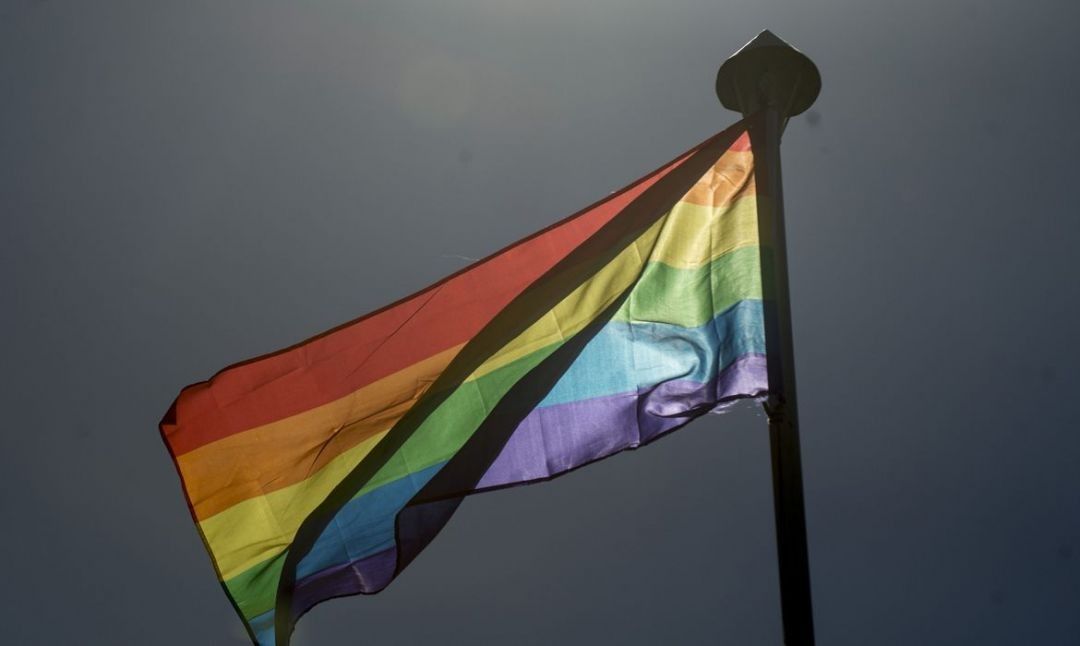Dia Internacional do Orgulho LGBTI+: Desemprego e moradia estão entre os principais desafios enfrentados na pandemia