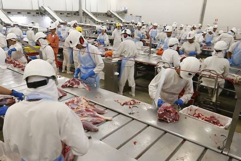 Preço do quilo carne bovina em Belém continua em alta no acumulado dos últimos 12 meses, aponta Dieese