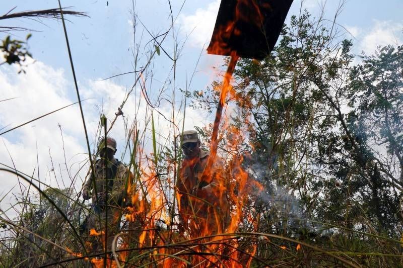 Pará reduz 49% no número de focos de calor no mês de julho