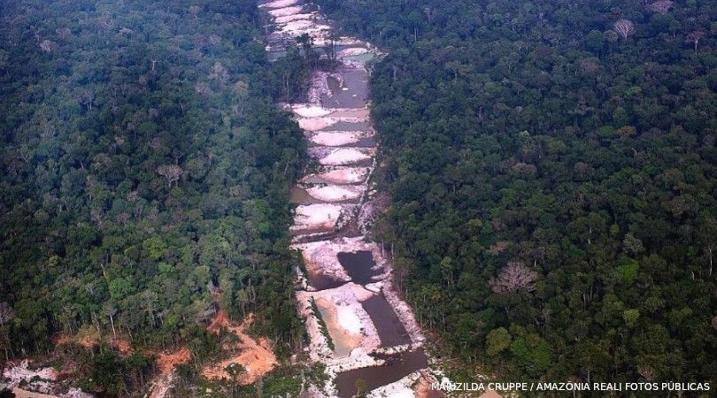 Área desmatada na Amazônia em julho é maior que a cidade de São Paulo, diz Imazon