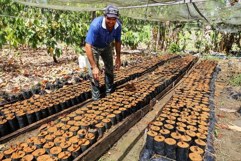 Prêmio busca reconhecer boas práticas adotadas por cooperativas paraenses