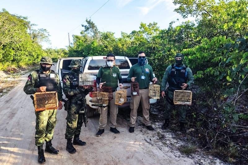Semas fiscaliza município paraense em combate a pesca predatória e a manutenção de aves em cativeiro