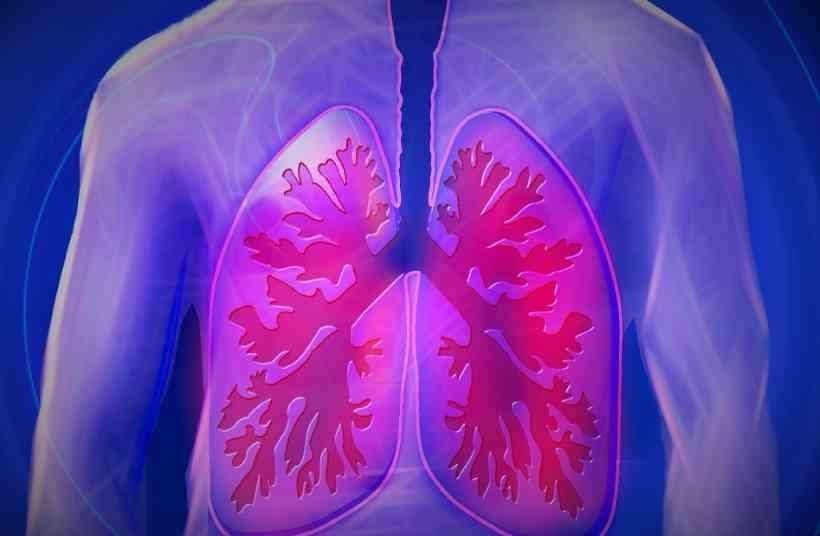 Setembro Roxo: especialista explica o que é a fibrose cística e formas de prevenção