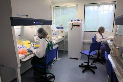 Laboratório realiza mapeamento de casos de Covid-19 em Rio Branco