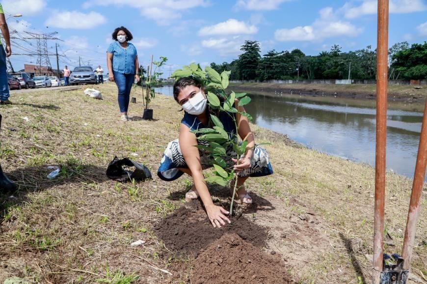 Prefeitura de Belém inicia plano de arborização da capital