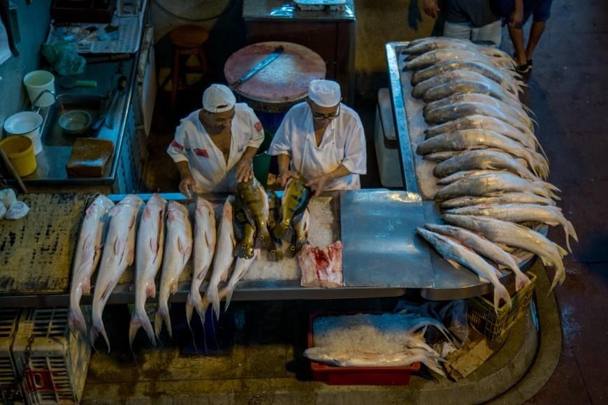 Mercados e feiras em Belém começam a sentir efeito da baixa procura pelo pescado
