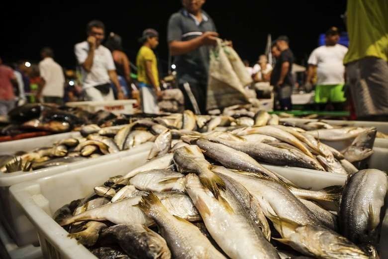 Seis casos suspeitos da Síndrome de Haff seguem sob investigação no Pará