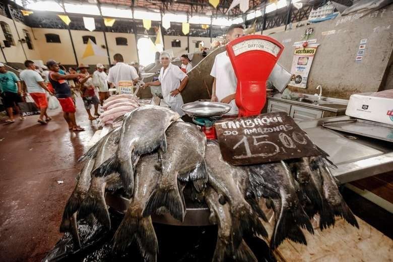 Prefeitura e feirantes do Ver-o-Peso, em Belém, discutem medidas para garantir venda de pescado