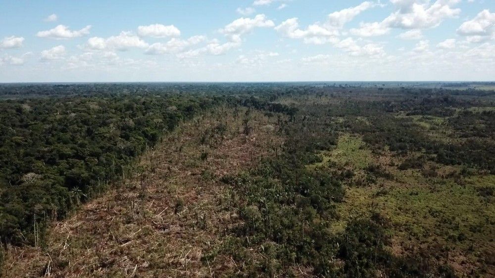 Acre ocupa o terceiro lugar no ranking dos Estados que mais desmataram a Amazônia