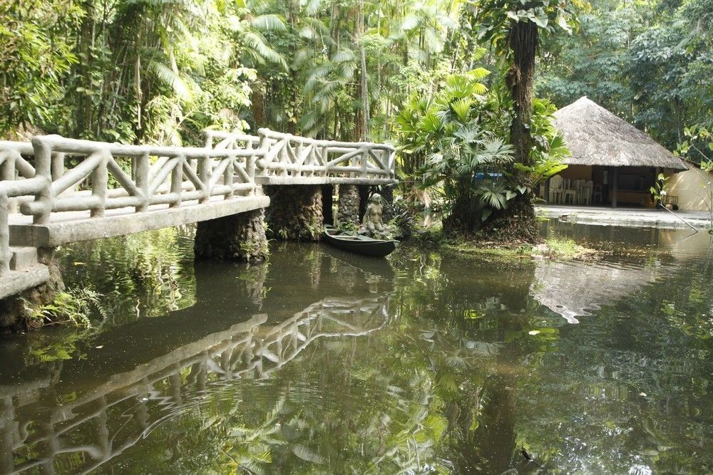 Bosque Rodrigues Alves, em Belém, recebe programação especial por meio do projeto 'Portas Abertas'