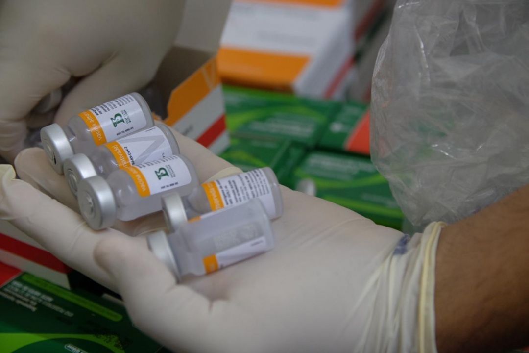 Ministério da Saúde lança campanha de multivacinação para crianças e adolescentes