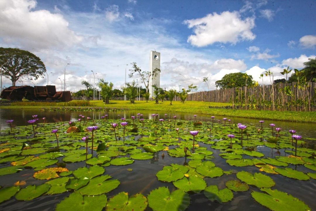 Parque do Utinga, no Pará, será sede da 2ª Edição da Bioblitz do Hemisfério Sul