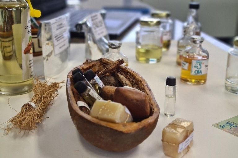 Fórum Mundial reúne expositores que apostam na bioeconomia