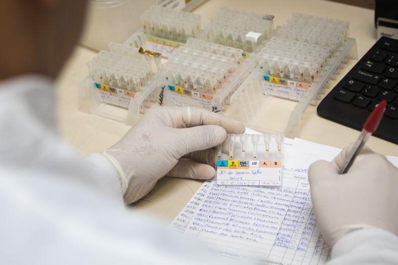 Hemopa convoca doadores para realizar atualização cadastral para impulsionar número de coleta de sangue no estado