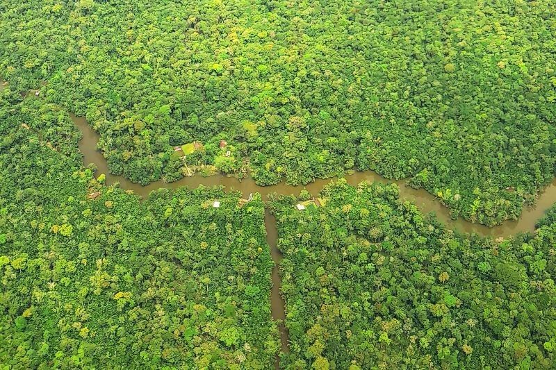 Pará apresenta Plataforma SeloVerde na COP 26 com dados sobre a produção agropecuária e adequação ambiental