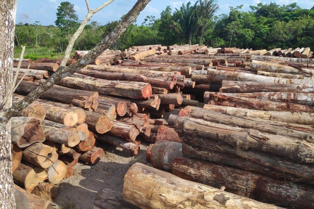 Desmatamento na Amazônia aumentou 57% nos últimos três anos, aponta Ipam