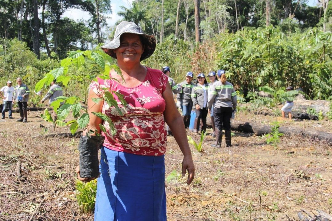Projetos em municípios do Pará onde há mineração, trabalham o reflorestamento e reaproveitamento de rejeito