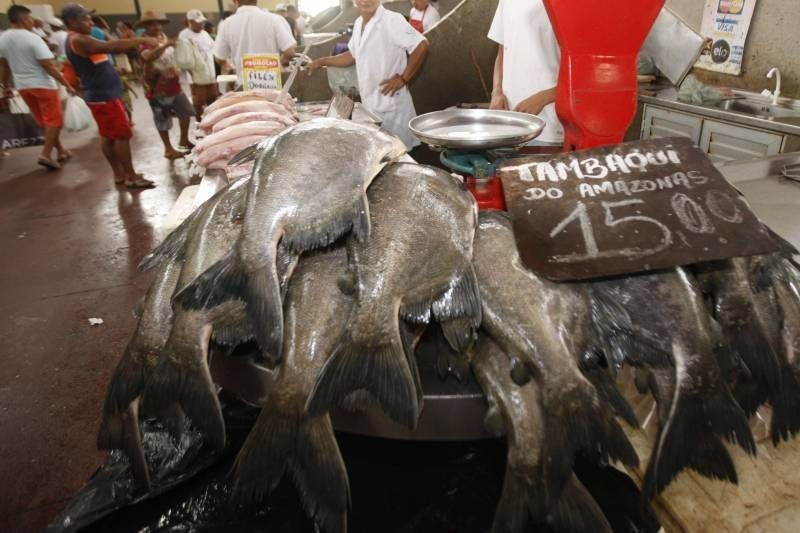 Prefeitura de Belém e Governo do Estado traçam estratégias para garantir o preço do pescado na Semana Santa