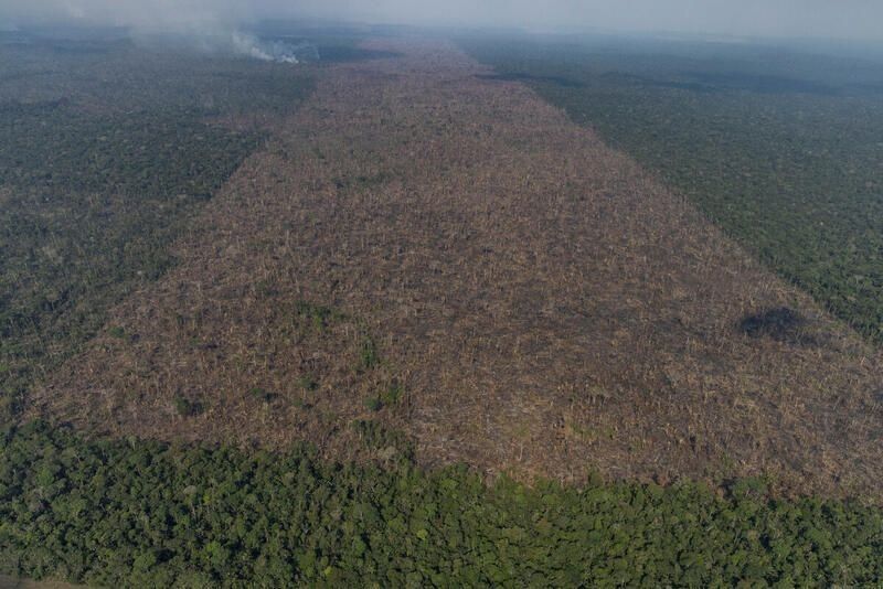 Desmatamento na Amazônia cresce quase 70% e atinge pior índice em fevereiro, segundo dados do Imazon
