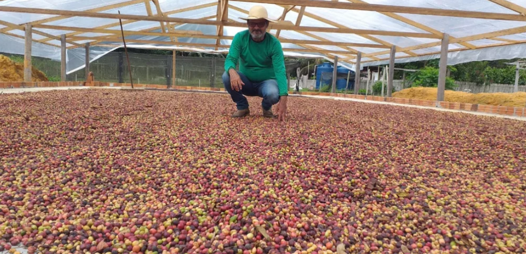 Conheça o agrônomo que aposta no cultivo e comércio de café artesanal no interior do Acre