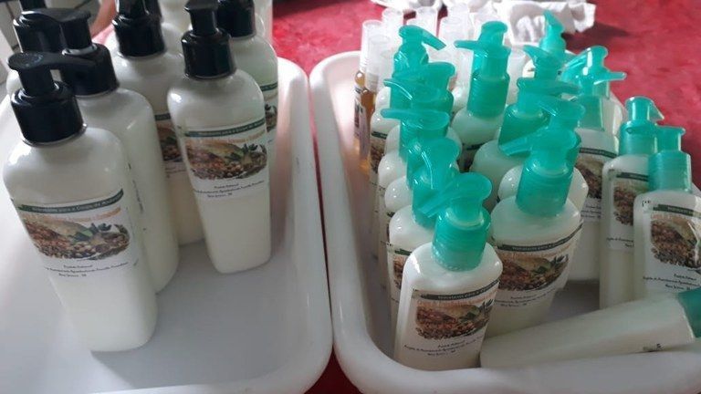 Projeto ArticulaFito incentiva saberes tradicionais na Amazônia e identifica produtos com potencial de mercado