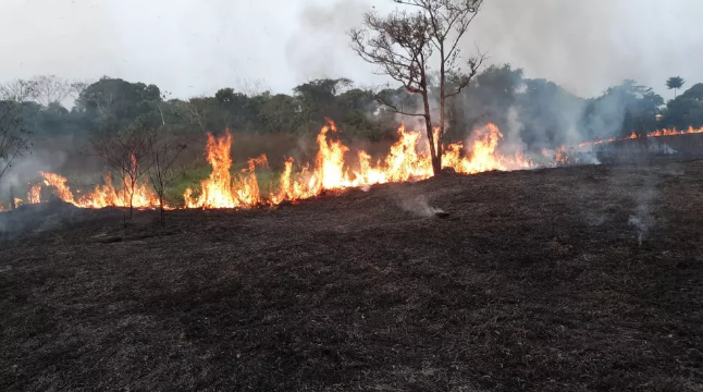 Com a chegada do verão amazônico, Acre já possui plano de conscientização e combate ao desmatamento e às queimadas