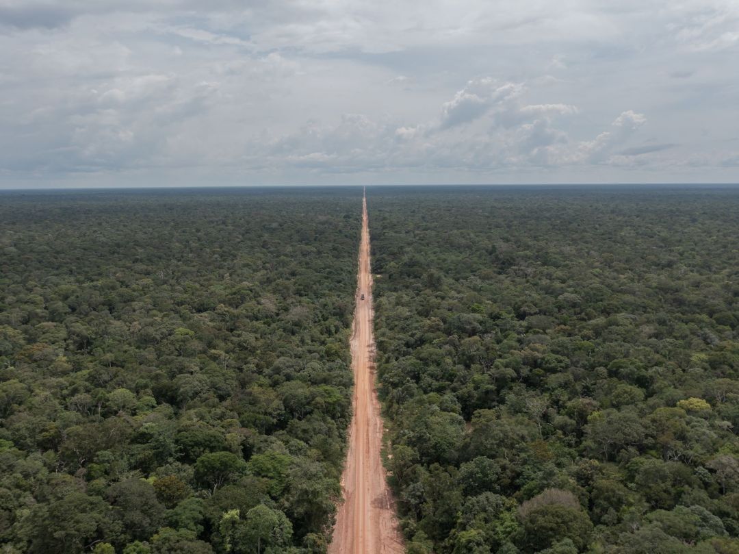 Os impactos da transferência de competências entre Amazonas e Rondônia sobre a BR-319