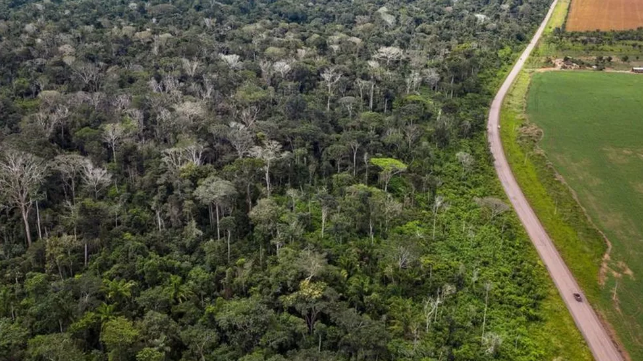 "Precisamos de uma mudança de paradigmas. É possível conciliar desenvolvimento econômico e conservação de recursos naturais" declara especialista