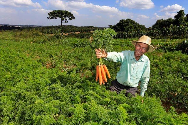 Setor Agropecuário Amazônico vai receber aporte de 9 bilhões de reais através do Plano Safra