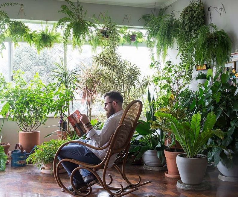 Biofilia: um conceito que propõe a quebra de paradigmas unindo trabalho e natureza